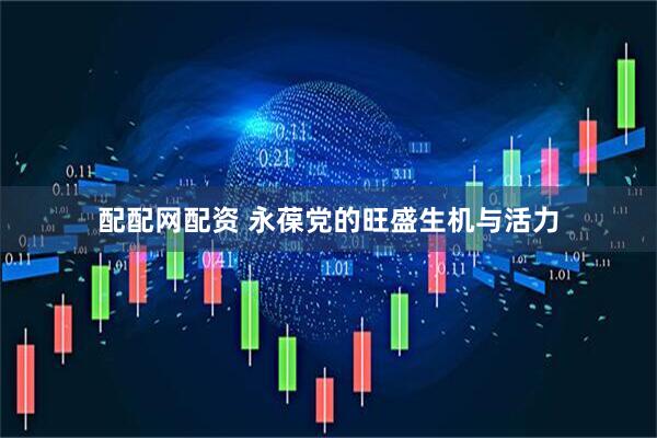 配配网配资 永葆党的旺盛生机与活力