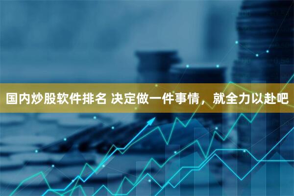 国内炒股软件排名 决定做一件事情，就全力以赴吧